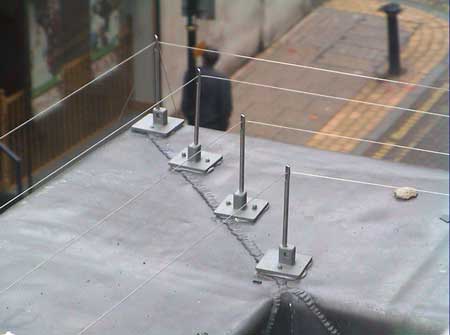 bird wires